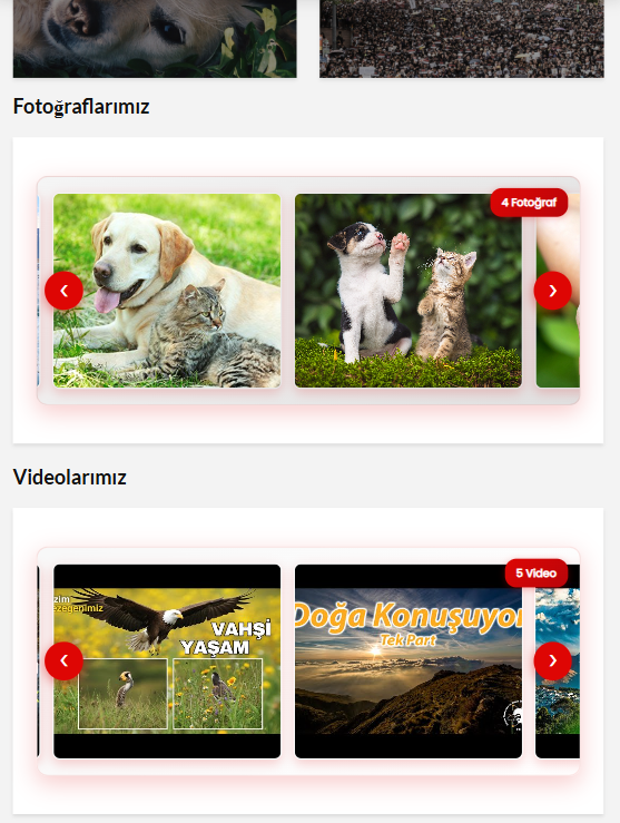 Halkçı Doğa ve Hayvanseverler - Proje Görseli